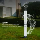 Crompton_Submersible_100W_Series_Motorpumpkart_2